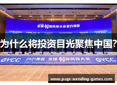 为什么将投资目光聚焦中国？