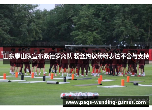 山东泰山队宣布桑德罗离队 粉丝热议纷纷表达不舍与支持
