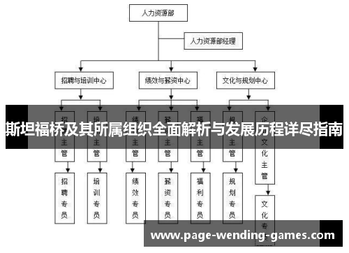 斯坦福桥及其所属组织全面解析与发展历程详尽指南
