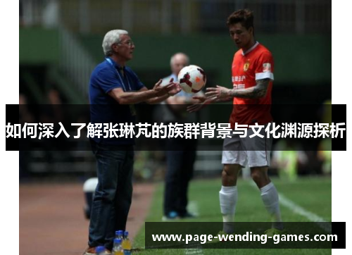 如何深入了解张琳芃的族群背景与文化渊源探析