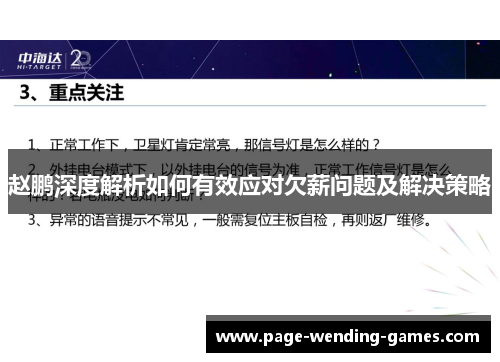 赵鹏深度解析如何有效应对欠薪问题及解决策略