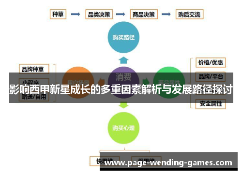 影响西甲新星成长的多重因素解析与发展路径探讨