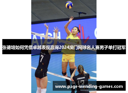 张德培如何凭借卓越表现赢得2024澳门网球名人赛男子单打冠军