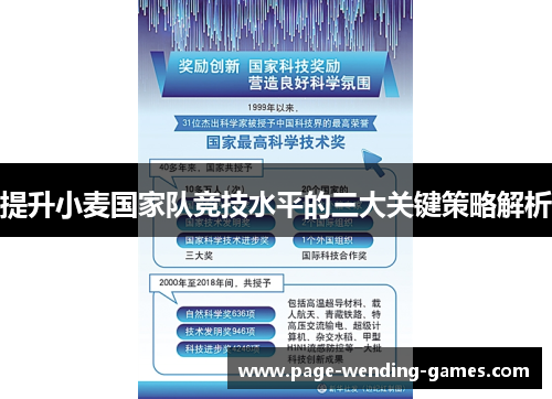 提升小麦国家队竞技水平的三大关键策略解析