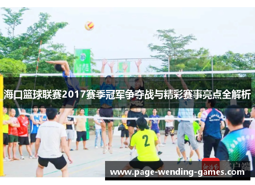 海口篮球联赛2017赛季冠军争夺战与精彩赛事亮点全解析