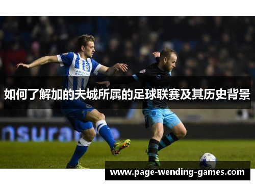 如何了解加的夫城所属的足球联赛及其历史背景 如何了解加的夫城所属的足球联赛及其历史背景