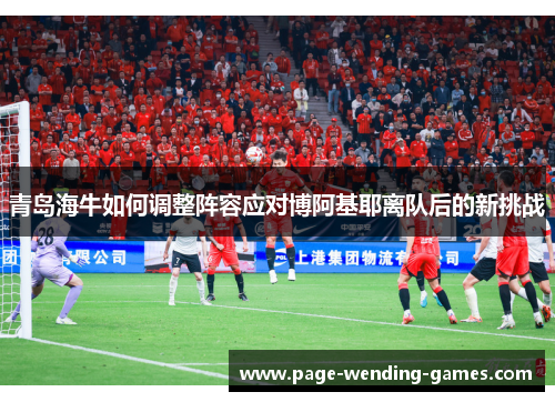 青岛海牛如何调整阵容应对博阿基耶离队后的新挑战